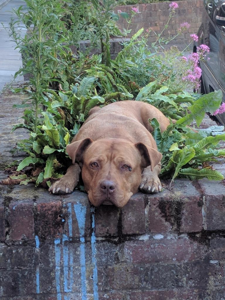 We be growing..
LOVE..🖤❤️..