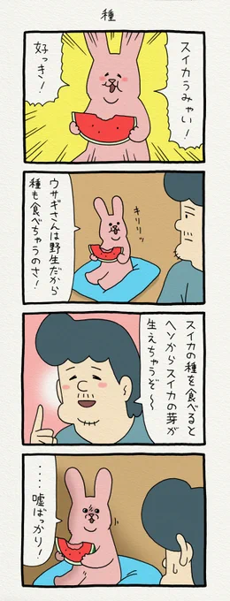 8コマ漫画スキウサギ「スイカ」単行本「スキウサギ4」発売中!→ スキウサギ 