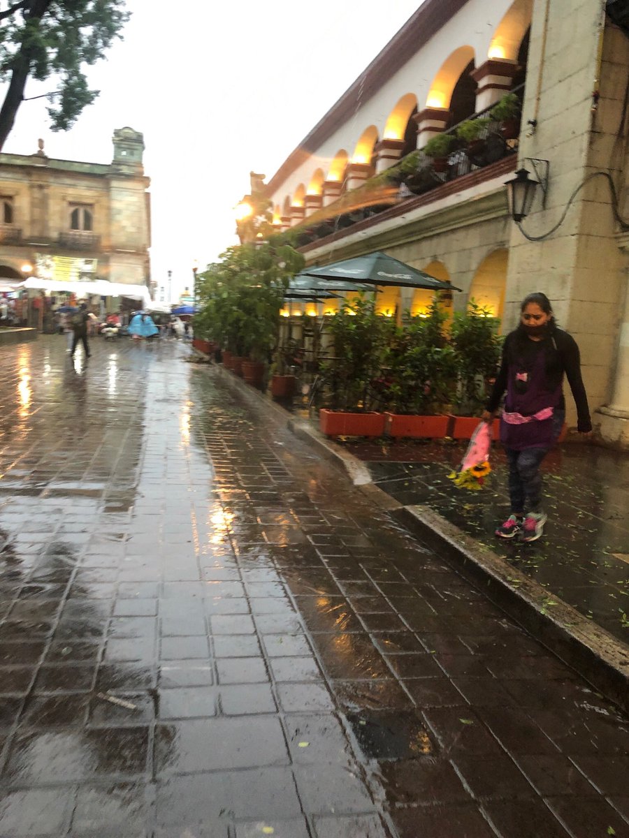 VitoArturo's tweet photo. Neta 😡🤬que chingue a su madere @oswaldogarciaj y @MunicipioOaxaca por permitir este atropello Vs la ciudadanía @PeatonVigilante @Pharmaguru1 @MLS_censura @JCarlosMedranoM @alfonsocruzoax @NADIASANABIA @escaparate_oax @Quintana_Troll @miguel_danteF @DenunciaEnOax @memocrata Rt https://t.co/2rPqsBztH1