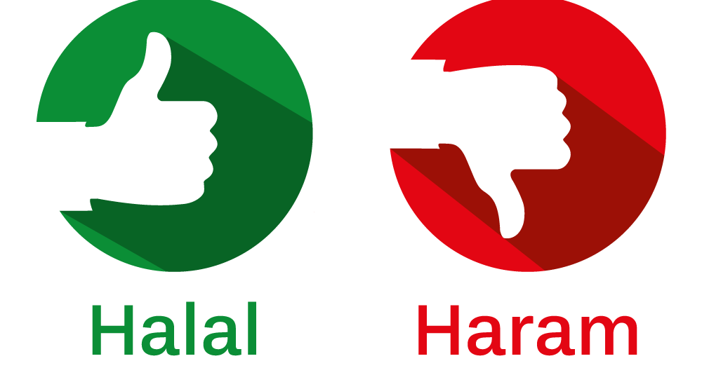 afazal15's tweet photo. Halal Income By Mufti Niyaz Ahmad Qasmi – halal income in islam,
halal income hadith,
halal income in quran,
earn halal income,
halal food,
what is halal income in Islam, Dhanbad Online, https://t.co/23JNowEsSQ https://t.co/ZK8NAGHU6p