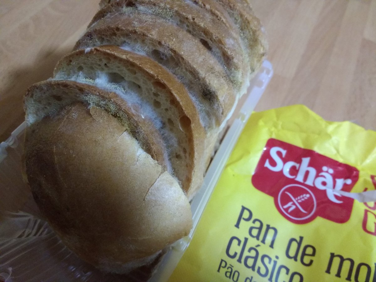 Jose P Raya ✳️ tweet media