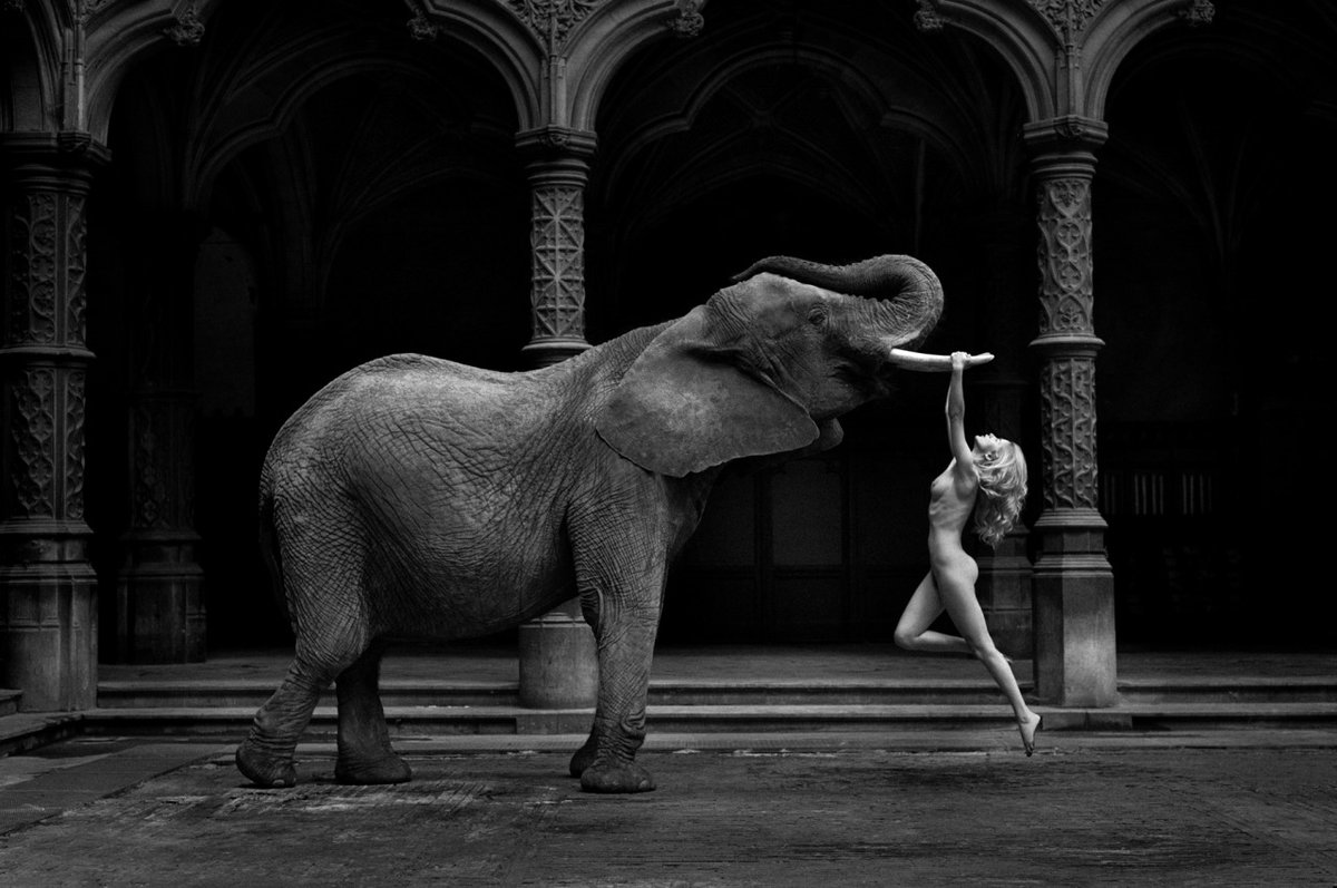 FabioMatteuzzi's tweet photo. Foto di #MarcLagrange #blackandwhitephoto #PHOTOS #artphotography #photographypro #PhotographyIsArt https://t.co/9qaSBfg4BS
