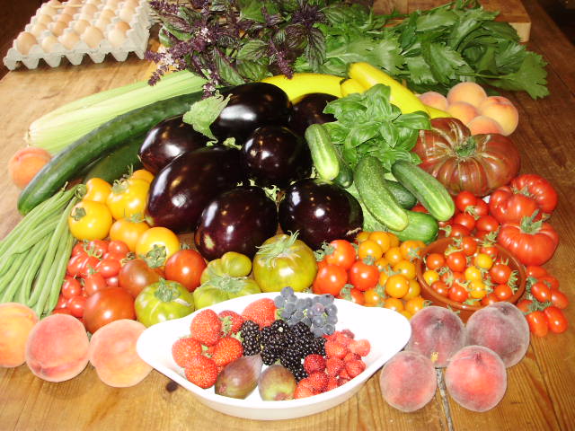 Some so-called ‘experts’ (those who don’t grow all their own food) say you can’t be self-sufficient in #seasonal #organic #realfood. Rubbish! We have been for 40+yrs, buying very little. It takes hard #work and #commitment – but the satisfaction and #health rewards are #priceless