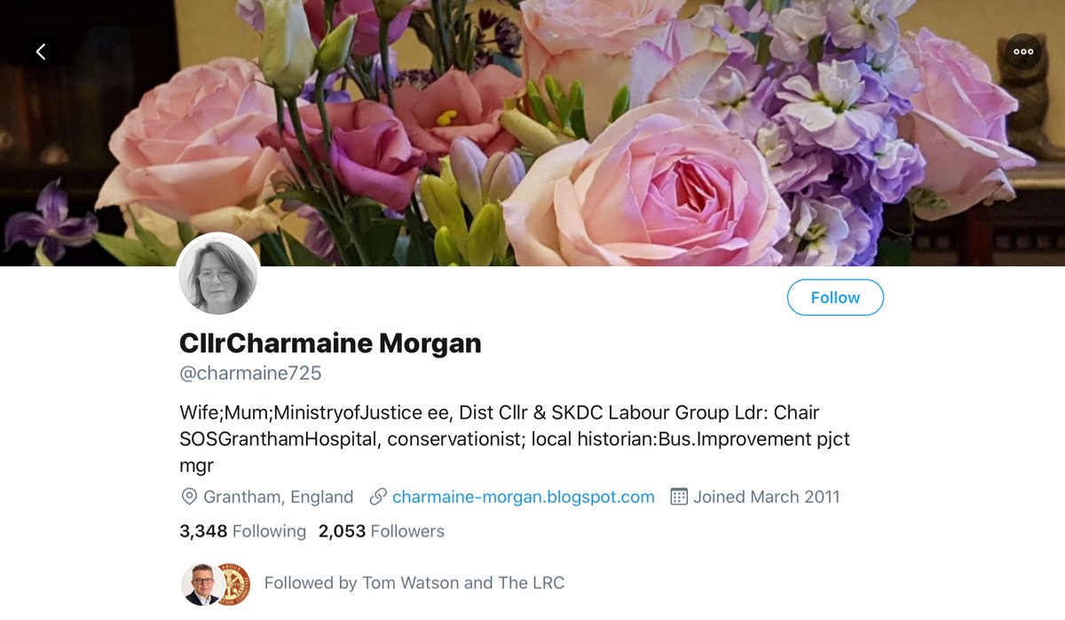 Cllr Morgan is active on Twitter and has a history of interacting with anti-Jewish racists who have been expelled from Labour, most notably Maureen Fitzsimmons who was apparently expelled in February 2020 (years after having been reported to the party).