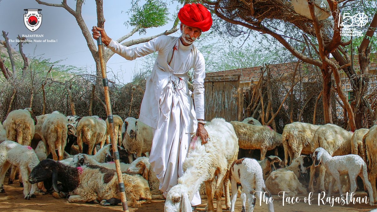MagnaramPanchla's tweet photo. #Most_beautiful #culture_in_world
विश्व में संस्कृति वाले समाज में सेकंड नंबर पर भारत में रबारी समाज को स्थान मिला है, बड़ी गर्व की बात है ।
#मालधारी @StaramDewasiRLP @8PMnoCM https://t.co/ncFq7Ch93O