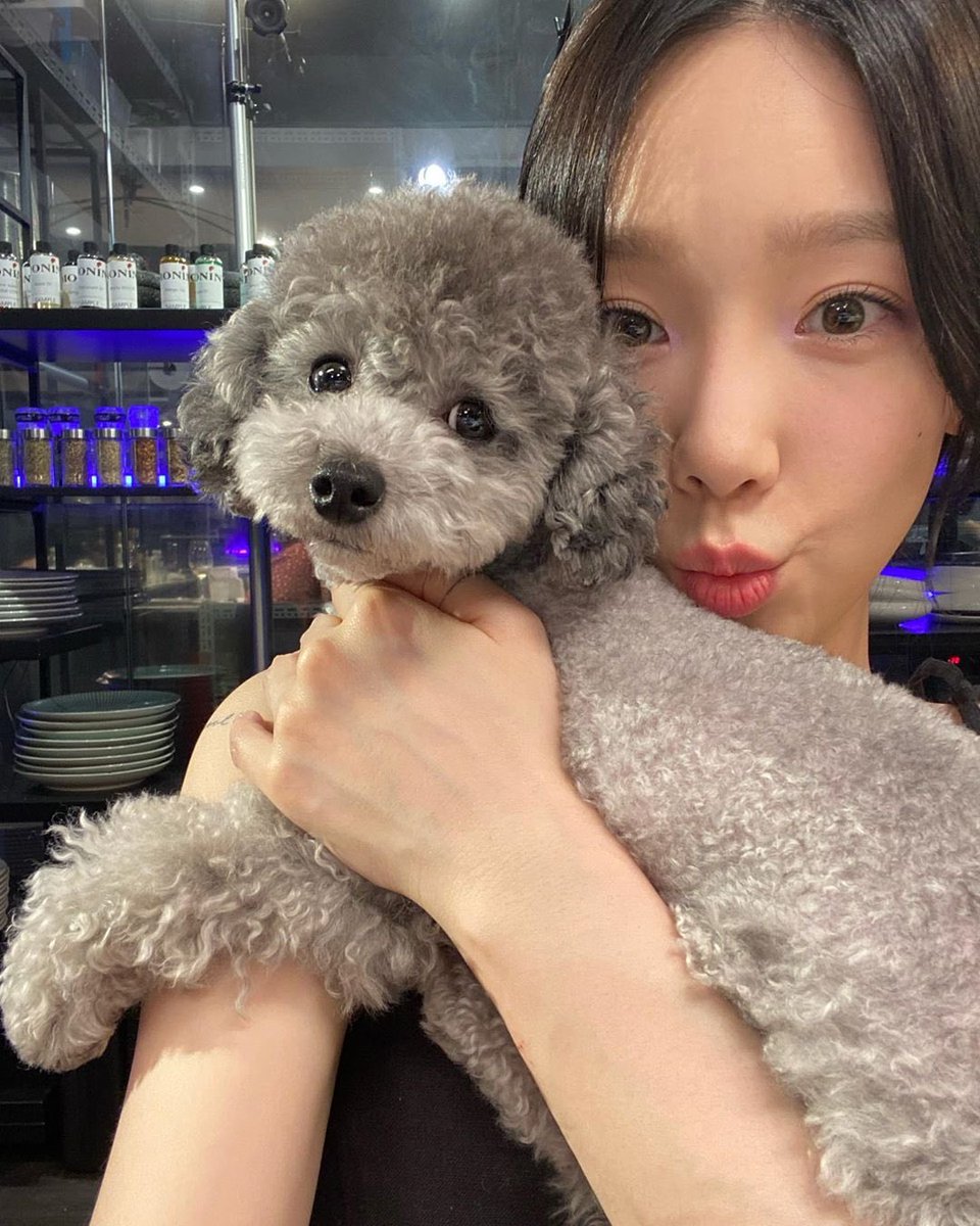 both have pets. taeyeon’s dog zero, and wheein’s cat ggomo