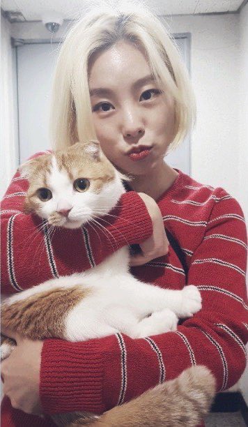 both have pets. taeyeon’s dog zero, and wheein’s cat ggomo