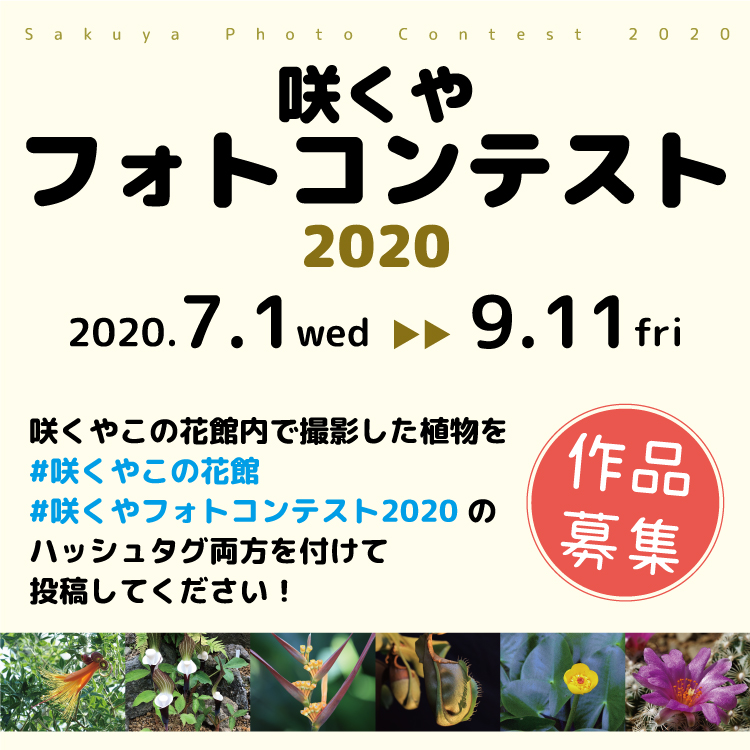 咲くやこの花館 咲くやフォトコンテスト 作品募集中です 規約を読んでお気軽に投稿ください 今ご応募いただいている作品もハッシュタグでご覧いただけます 入賞作品には咲くやの年間パスポートやオリジナルグッズなどを進呈 〆切は9月11日です 咲くやこの花館 咲くやフォトコンテスト 作品募集中です 規約を読んでお気軽に投稿ください 今ご応募いただいている作品もハッシュタグでご覧いただけます 入賞作品には咲くやの年間パスポートやオリジナルグッズなどを進呈 〆切は9月11日です