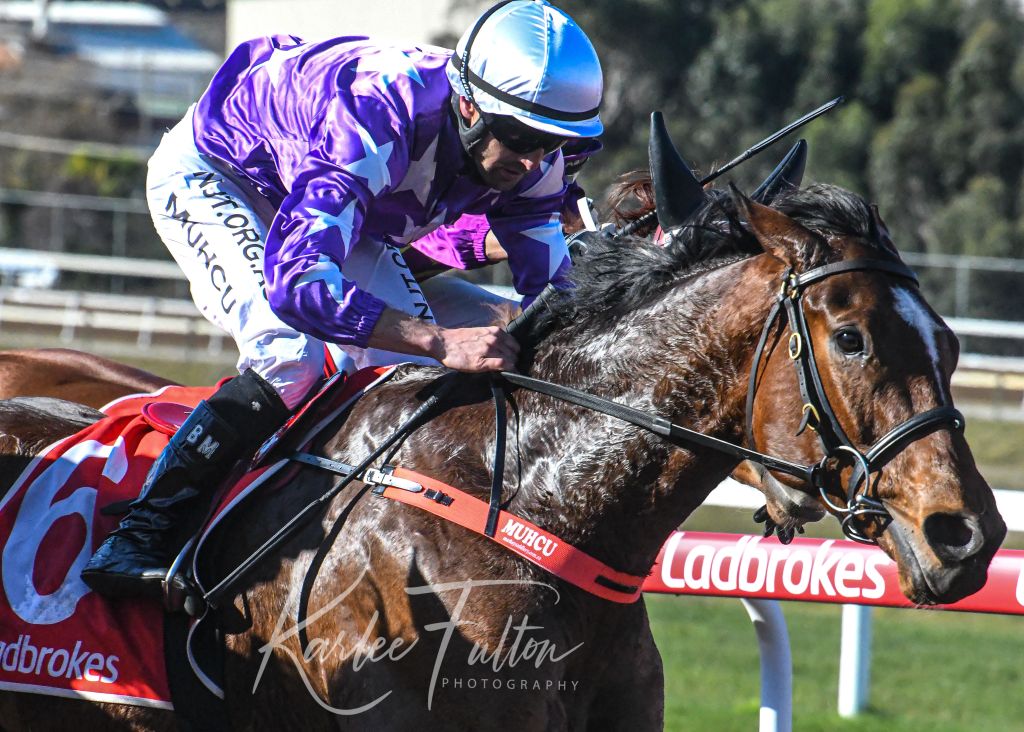 Race at Devonport 
Stinchar At Fairlands Stud Benchmark 74 Hcp 

Winner : Canarrus 
Jockey : B.Muhcu 
Trainer : L.Gaffney