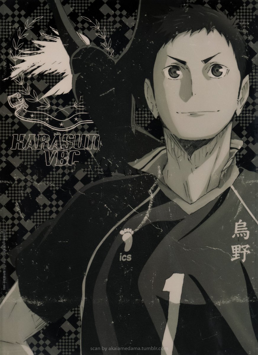 karasuno team captain and wing spiker, #1 sawamura daichi