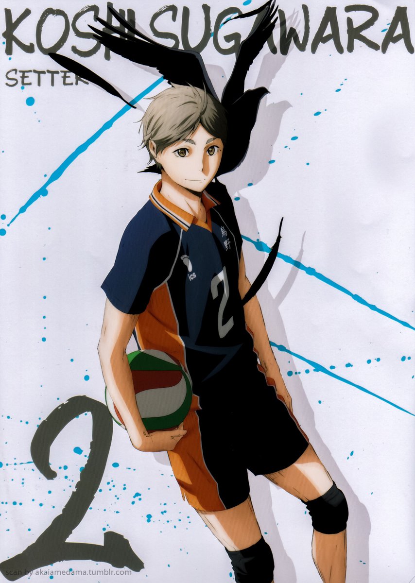 karasuno team vice captain and setter, #2 sugawara koshi