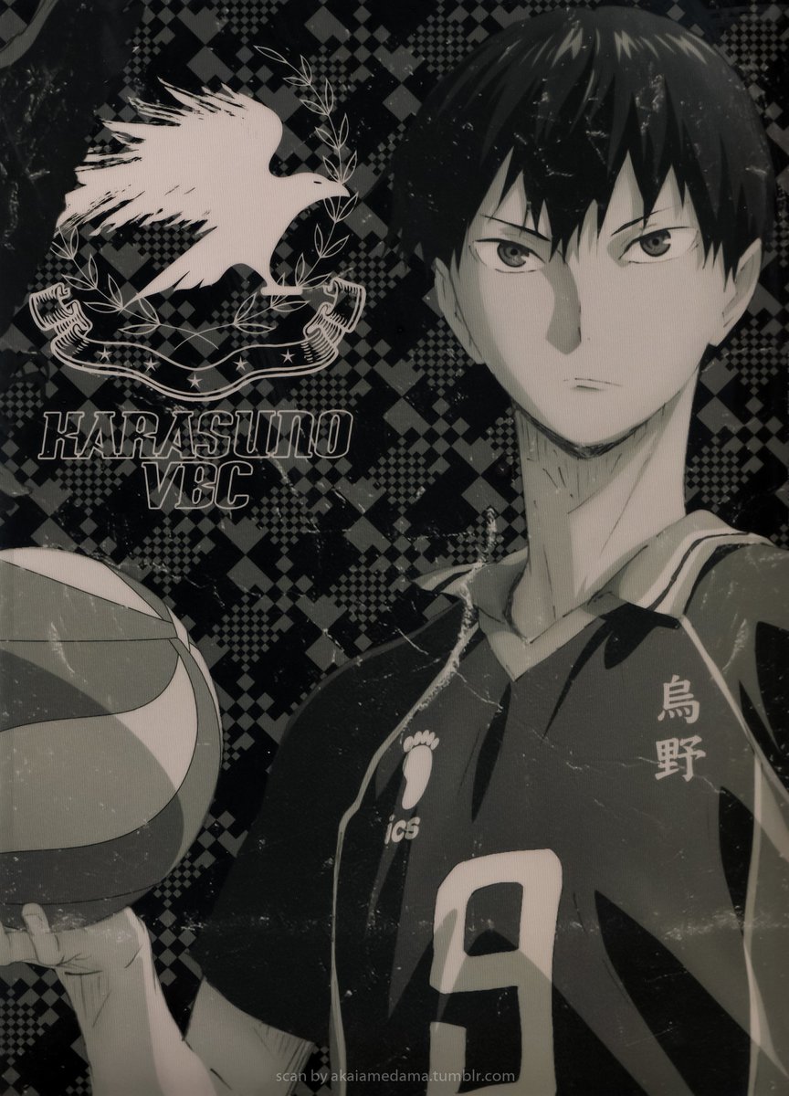 karasuno team setter  #9, kageyama tobio