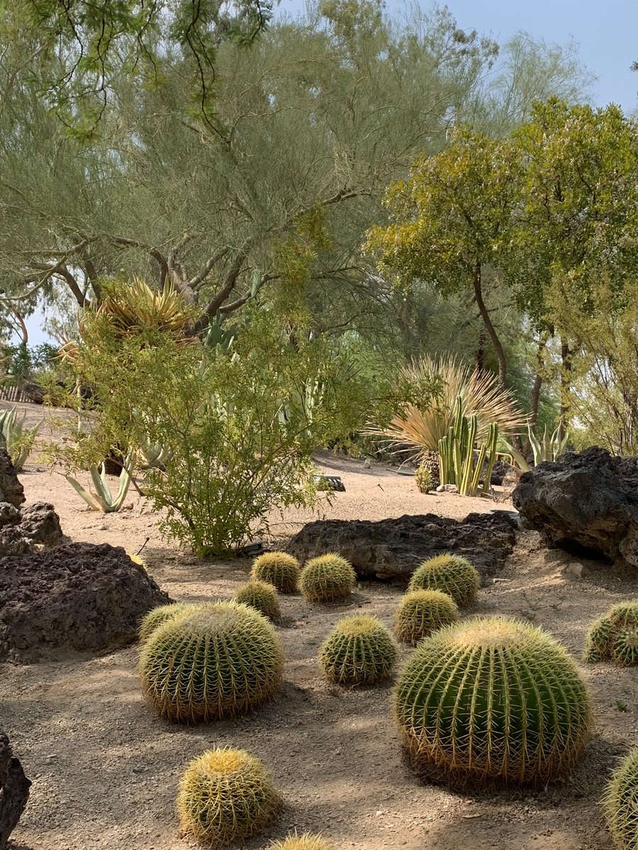 angelinabaray's tweet photo. Super fun day roaming about. Stopped to check out @EthelMChocolate factory and cactus garden. Then @TussaudsVegas. Must see spots when visiting (or living) in #lasVegas #bucketListItems #havingFun #HotTemps #coolSites #WhatsNext https://t.co/9632nOLtH4