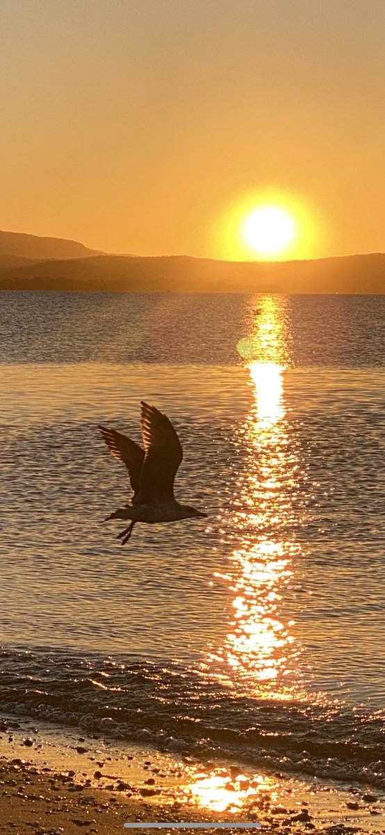 isa_de_monaco's tweet photo. Envol vers un doux dimanche ☀️
#Hyères #Ayguade
@VisitVar @Var_Matin @SebastienGuiol @villedhyeres @hyerestourisme https://t.co/GRRhba9mTl