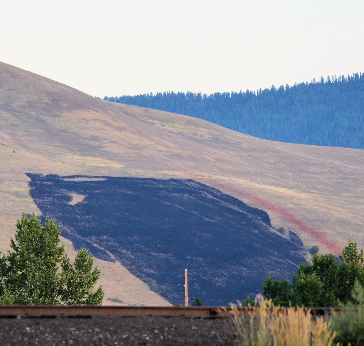 Jennife54701483's tweet photo. Area of Mount Sentinel from fire the other night. Photo taken tonight zoomed from baseball field river walk. #Missoula, #MountSentinel, @HellgateOsprey, #Osprey https://t.co/fXDnzoaMLY