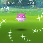 ポケモンgoで ハリーセン が話題に ポケgo トレンディソーシャルゲームス