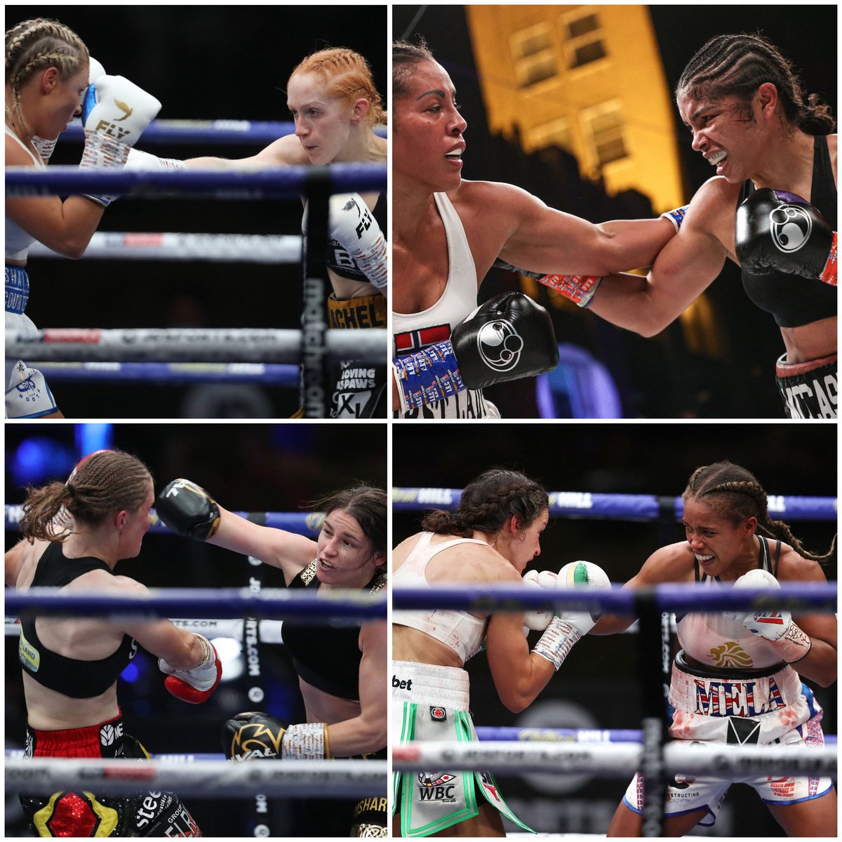 TashaJonas's tweet photo. So many thrones, we don't need to argue right now who is the queen! Take a bow, boxing at its finest. We took over and off 🚀🔥 #FightCamp #Boxing @KatieTaylor @DelfinePersoon @TerriHarper96 @Rachel_Ball_ @scourtenay @jaydi_mac @1LadyCecilia @MatchroomBoxing https://t.co/CAwGK9gAY3