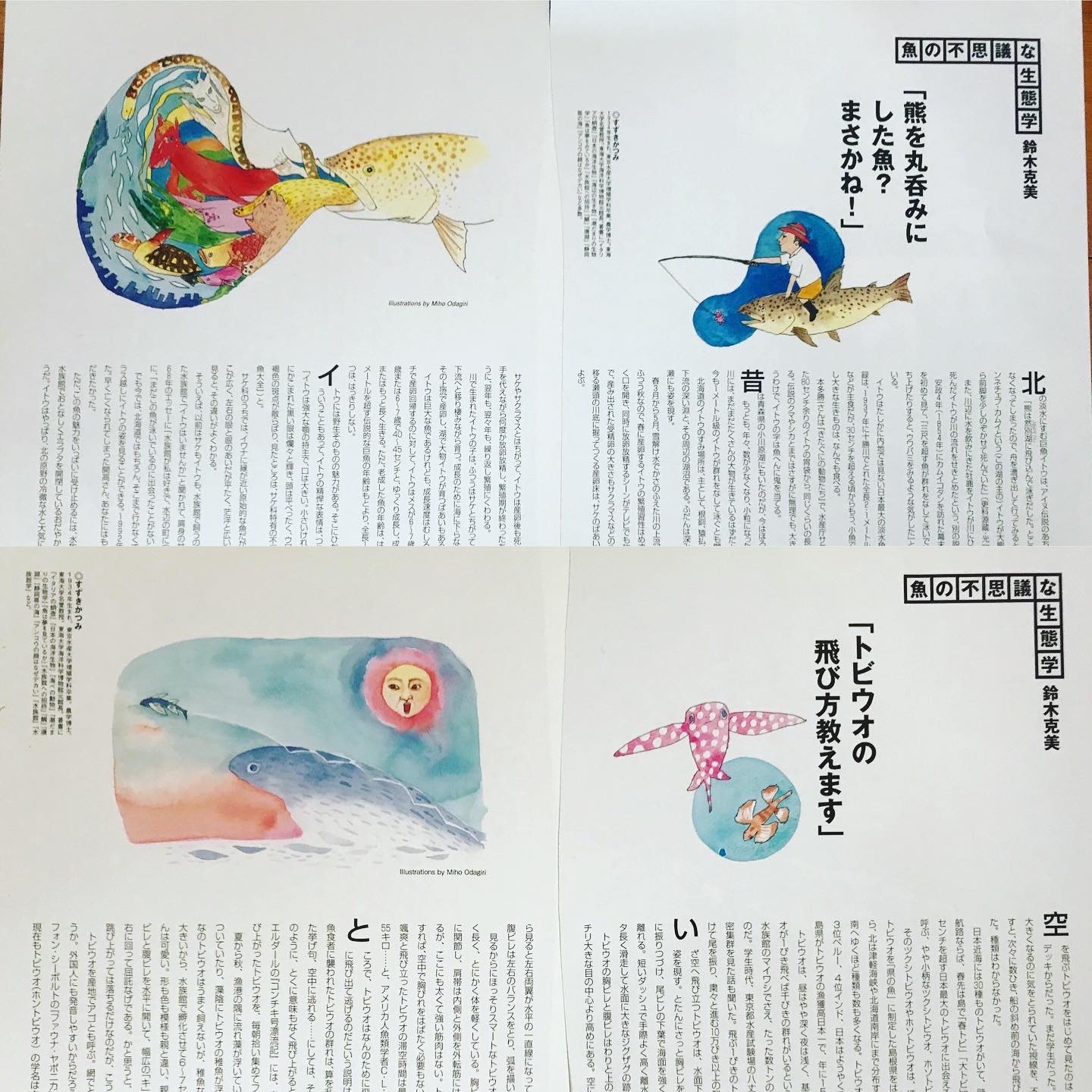 オダギリミホ 寂しいですが 鈴木先生はきっと やり切った という感覚なのだろうな と羨ましくもあります フィッシングカフェ 書店で見かけましたらぜひ お手にとってご覧ください フィッシングカフェ 鈴木克美 魚の不思議な生態学