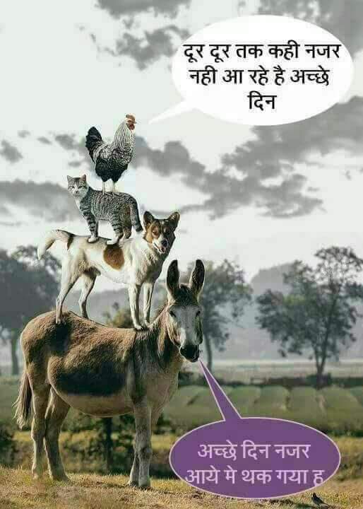AzadImran6's tweet photo. #मोदीजी_जॉब_दो
Where is ACHHE DIN❓
Where is 2 Crore Naukri❓
Where is GDP❓
Where is Smart City ❓
Where is Vikash❓ https://t.co/0Uh0cfI5jf https://t.co/7KE4v8NbfJ