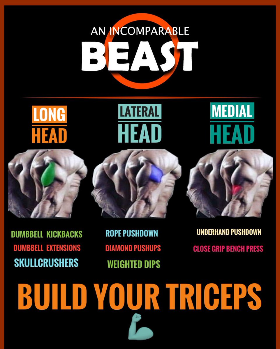 AnIncomparable's tweet photo. •M #gym #gymlife #workout #gymfreak #toptags #gymtime #gymrat #bodybuilding #gymmotivation #train #fitfam #progress #muscle #training #befit #health #gymaddict #instahealth #hulk #body #fit #strong #motivation #determinant #determination #instadaily #musclegain #cleaneating https://t.co/Zh0Kc3keEa