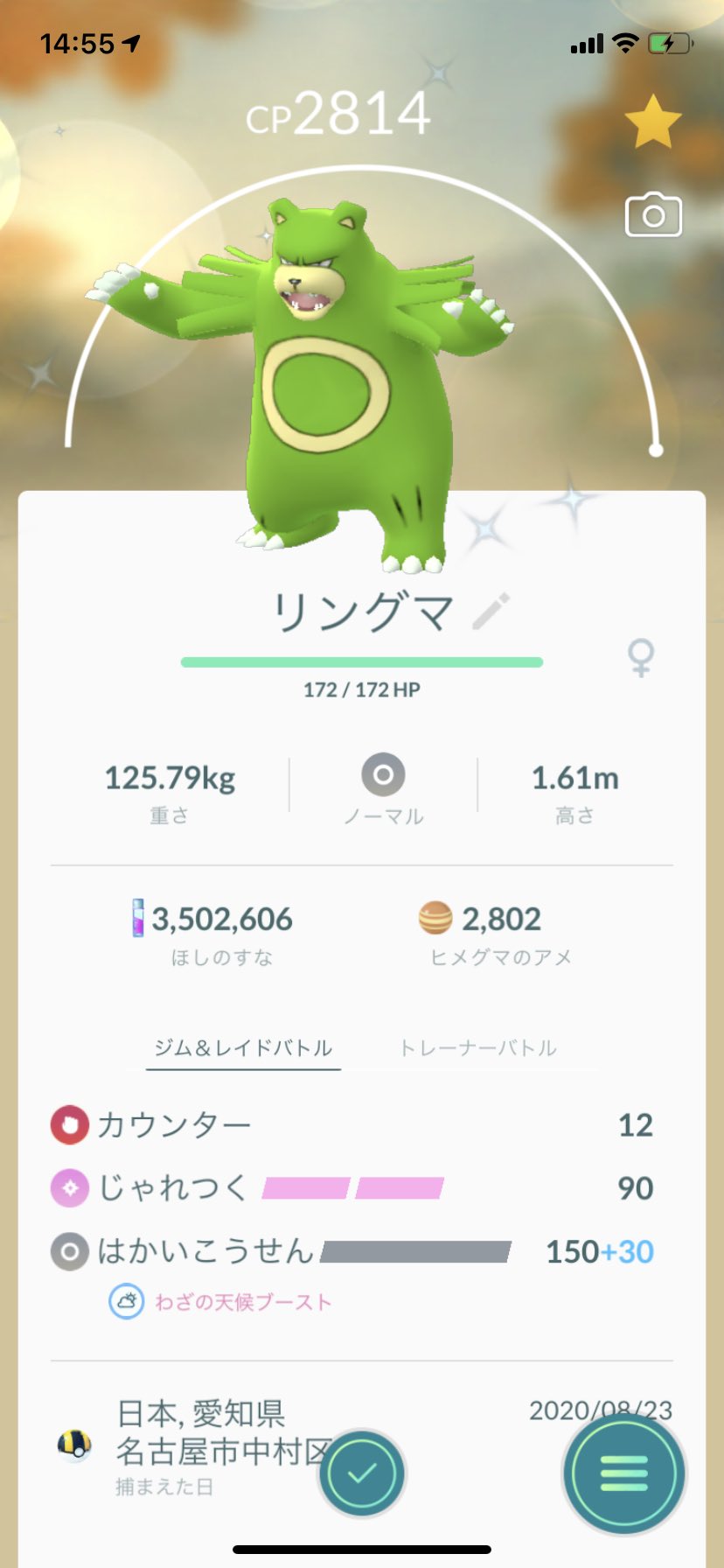 ポラリス Sur Twitter ポケモンgo 家に色違いヒメグマ来た 2匹目なのでリングマに進化させました ポケモンgo 色違い ヒメグマ リングマ T Co Es7oduzy0c Twitter