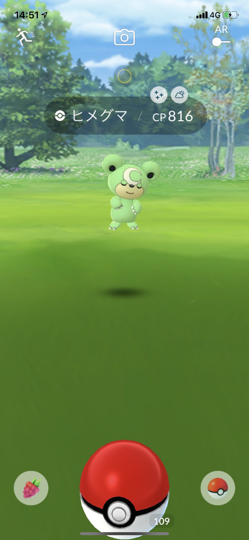 ポラリス ポケモンgo 家に色違いヒメグマ来た 2匹目なのでリングマに進化させました ポケモンgo 色違い ヒメグマ リングマ T Co Es7oduzy0c Twitter