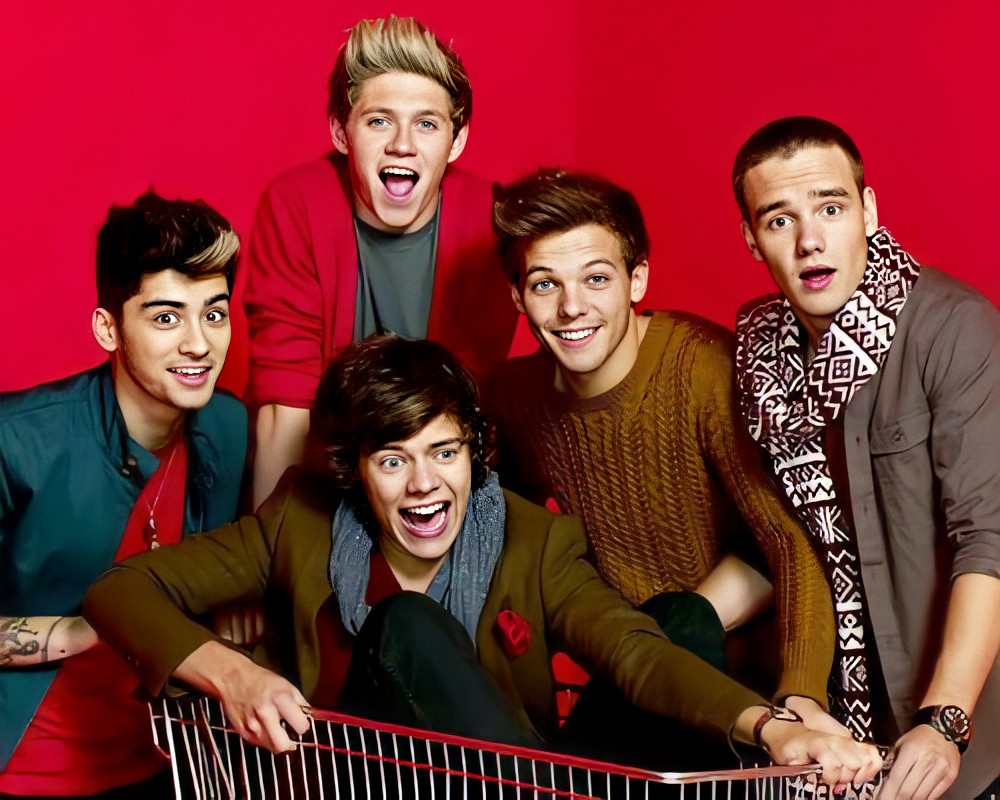 HAROLDHEAVENN's tweet image. kangen bangettt #10YearsOf1D #10YearsOfOneDirection