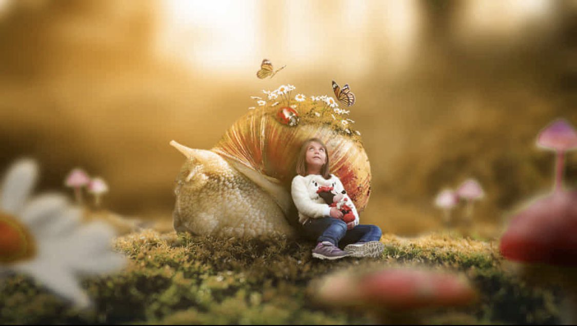 ���� ���� ������ �� ���� ������