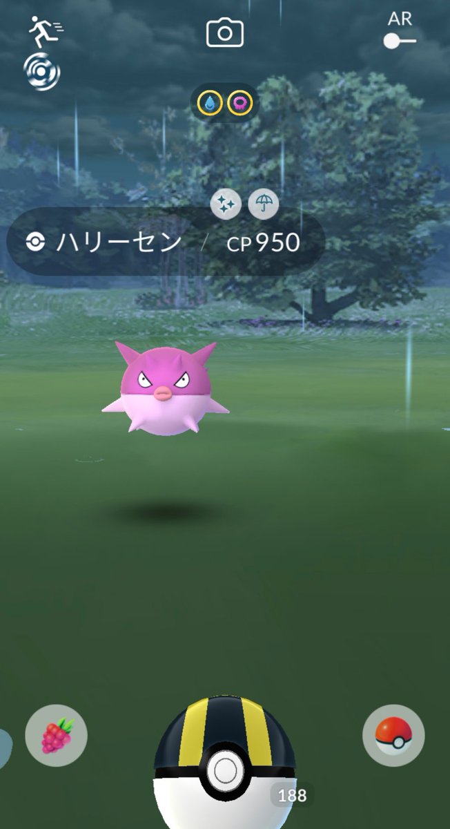 溝口 泰成 Twitter પર 今日は Go Festの お詫びイベントの お詫びイベント ということで おこうを３時間たきました 成果は 色違いハリーセンを１匹初ゲット できただけ ハリーセン以外の色違いは 出ませんでした クイタランの色違い アンノーンの色違い ゲット