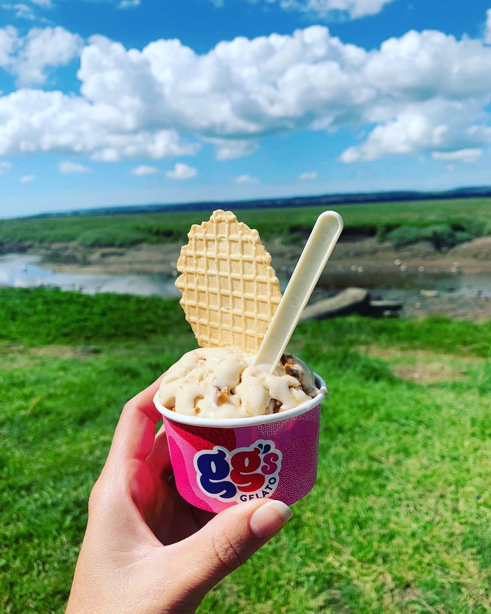 Gelato in the Parc - NOW serving Gower Gelato in a range of flavours: Vanilla, White choc and cherry, Mint choc chip, Strawberry, Salted caramel, Bubblegum, Chocolate, Bueno, Raspberry (vegan), Crunchie