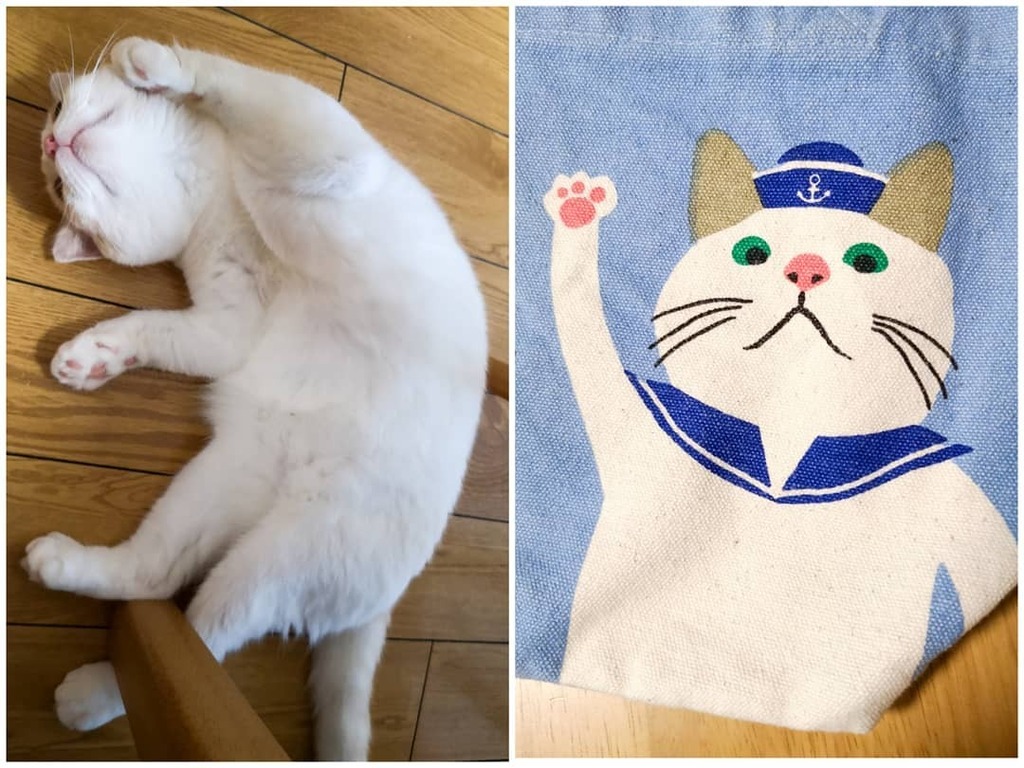 ターチャン