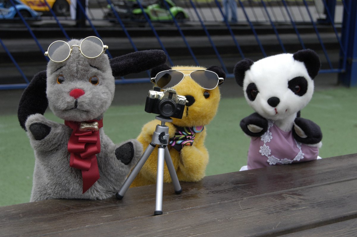 Sootyandco's tweet photo. The puparazzi 🐾 https://t.co/5rnKn968xO