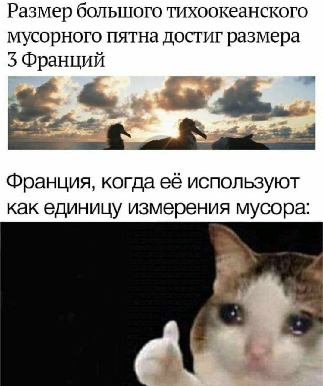 EgFaU9TWsAAWbZS?format=jpg&name=large