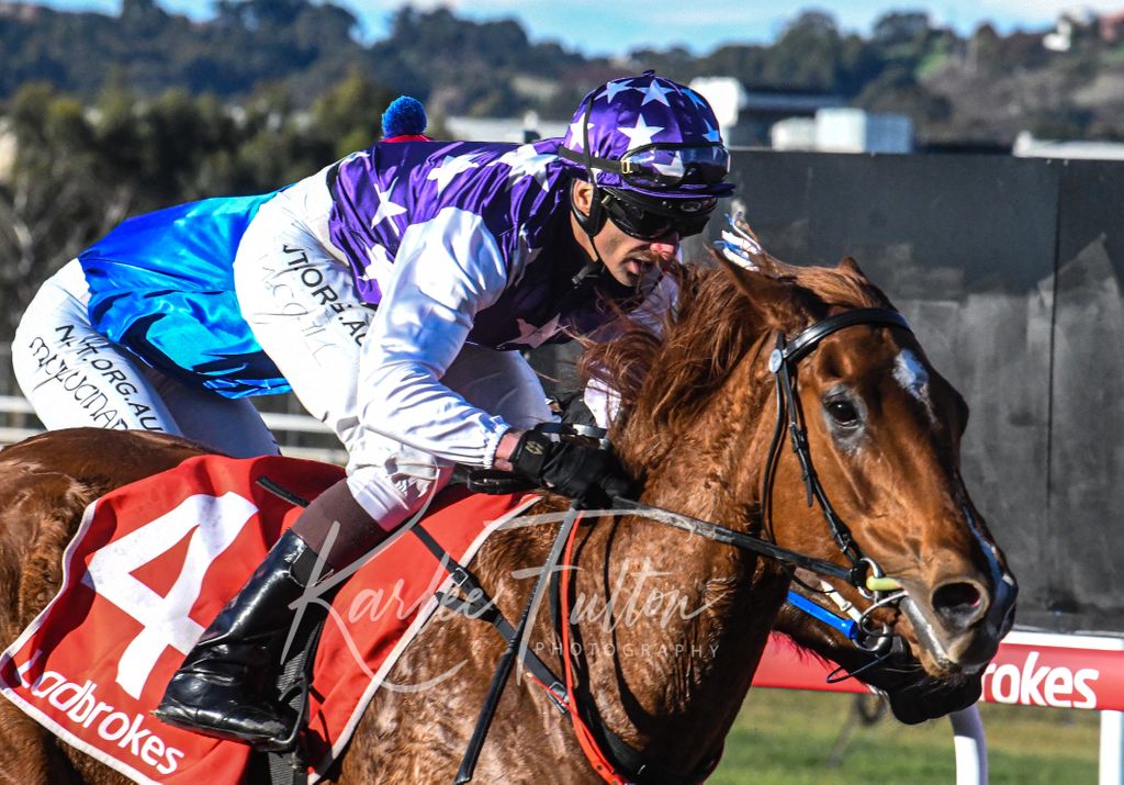 Race 8 at Devonport 
Tasmanian Horse Transport Class 1 Hcp (1009m) 

Winner : Red Letter Lady 
Jockey : B.McCoull 
Trainer : B.Ryan