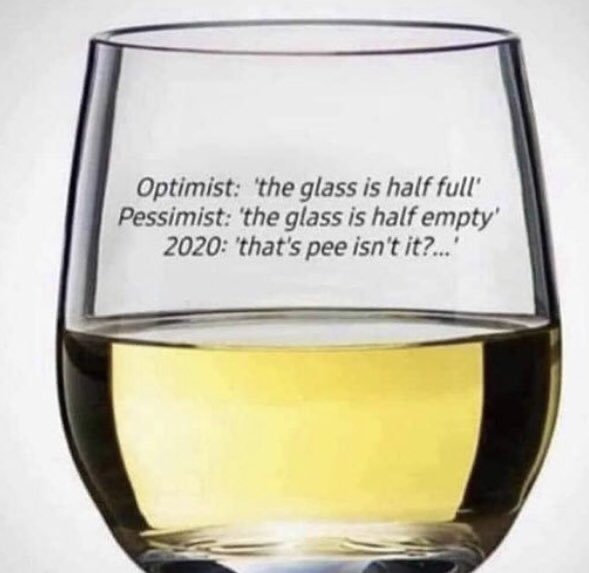 Optimist vs pessimist vs 2020