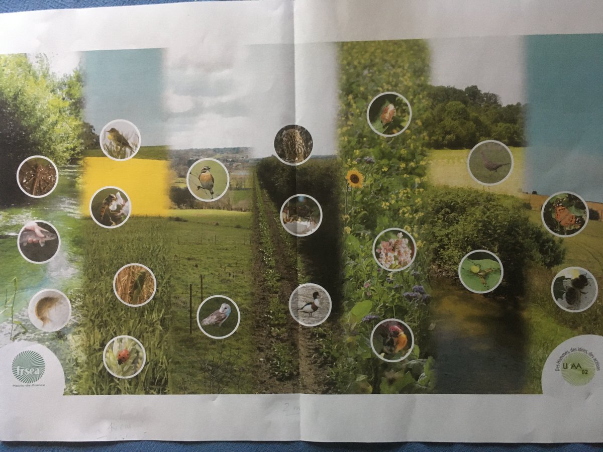 Superbe maquette d'affiche réalisée par les services de l'USAA 02 Travail d'équipe pour faire connaitre la bio-div de nos territoire agricole .