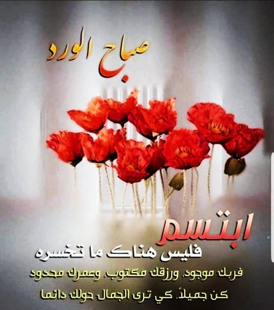 🦋يّےـٱٱٱقَےـوِتُےـ🦋 (@jmnnu8odeomcsjg) on Twitter photo 