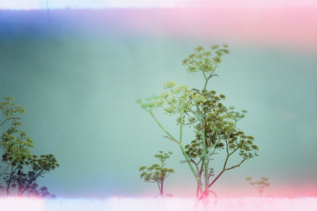 hiplushello's tweet image. Keep yourself safe, and please scream inside your heart.