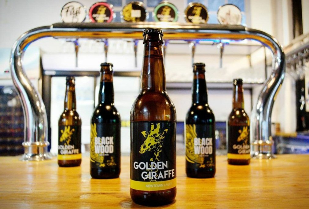 Craft Beer Makes Life Better 🍻
#BlackWood #GoldenGiraffe
#First15Brewhouse 
.
.
#craftbeer #beerlovers #beerstagram #hops #beerlover #craftbeerlife #drinkcraft #beerme #craftbeerporn #UniquelyCrafted #Brewery #CraftNation #BrewingHeaven #Newtown #Johannesburg #southafrica