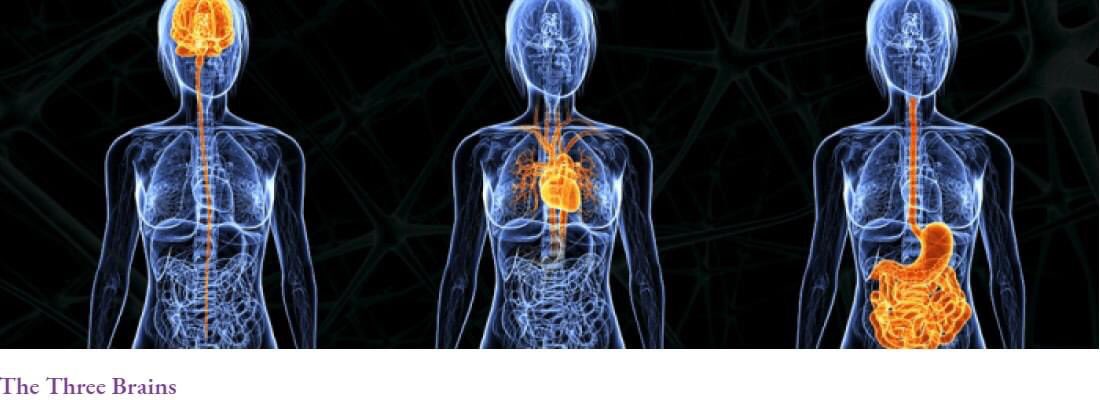 sarahsynergie's tweet image. #GaiaHypothesis the Earth als a Living System Yess they are #Autopoiesis A definition of Lide Auto = Self &amp;amp; Poiesis = Creation #knowledgeframework #Salutogenesis #inSyntony #heartcentered