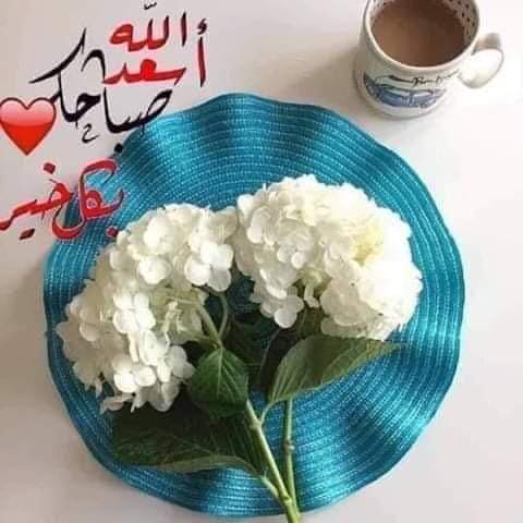 لما الواحده تصحي الصبح وتفتح تويتر عاشان تصبح علي كل اصدقائها ومره واحده تلاقي سخافات واحده تقولي انها بتلبس النقاب علي اللحم علشان تهيج طيب وليه ماتلبسي قميص نوم احسن ايه الي دخل النقاب في الهيجان وواخده تقولي بتعرفي تمصي ولا لا وواحد داخل يقولي عاوز اعرف صدرك كبير ولا لا