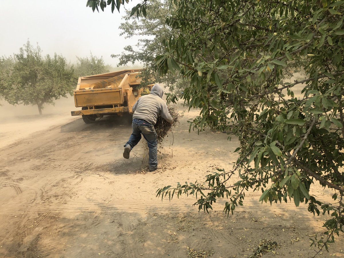 Along with being back-breaking labor, farm work requires a skillset that many of us lack! The amount of teamwork, communication, & professionalism required for this job is unmatched. I saw workers use muscles that I haven’t used in this entire pandemic!  #Thankyoufarmworkers5/n
