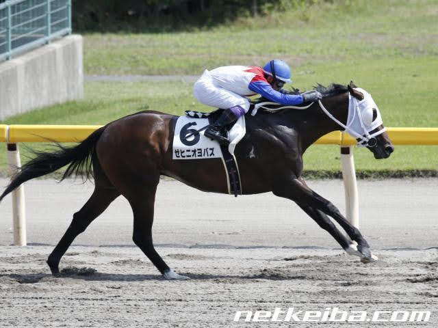 おもしろ馬名