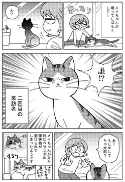 ベランダに近所のボス猫が襲来 そのとき 弱気な家猫は 縄張り争いの意外な決着を描いた漫画が面白い ねとらぼ