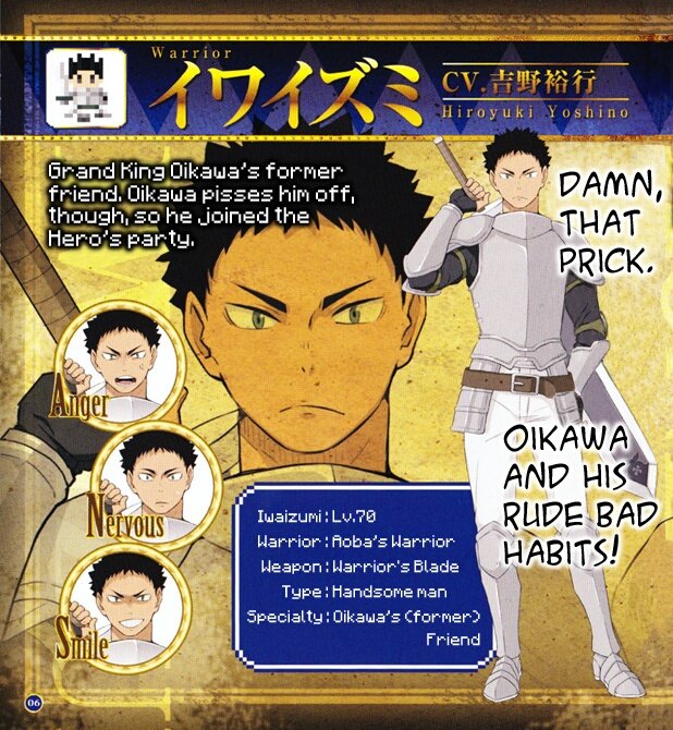 iwaizumi haikyuu final quest character profile