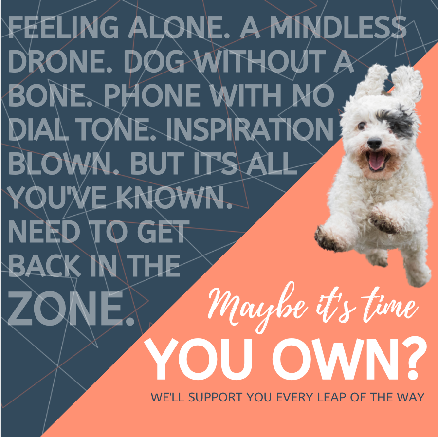 Time to build the culture and practice you you have always dreamed of? We want to help. Reach out to us anytime, whether just for a chat, or to get the wheels turning 🚙. Let's do this. Together.

vestavets.com

#veterinarian #vettech #dogtor