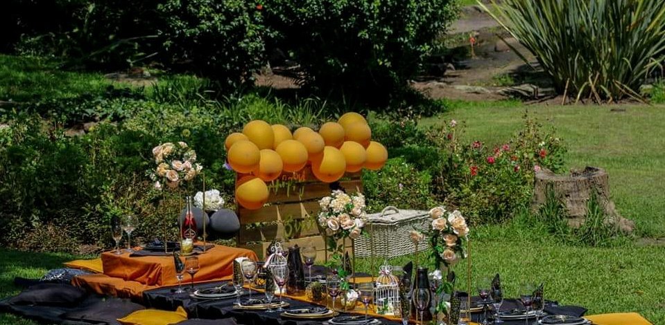 littlepicnicug1's tweet image. #UOT Are you thinking what we are thinking 💃💃💃💃,let&apos;s set up at your home and give you the #blanketsandwines #onlineedition experience .Strictly good vibes....mark your 30th August with us ,😍 for beautiful picnic setups,  call  or dm us to make your booking early 💃💃