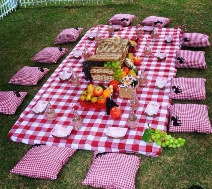 littlepicnicug1's tweet image. #UOT Are you thinking what we are thinking 💃💃💃💃,let&apos;s set up at your home and give you the #blanketsandwines #onlineedition experience .Strictly good vibes....mark your 30th August with us ,😍 for beautiful picnic setups,  call  or dm us to make your booking early 💃💃