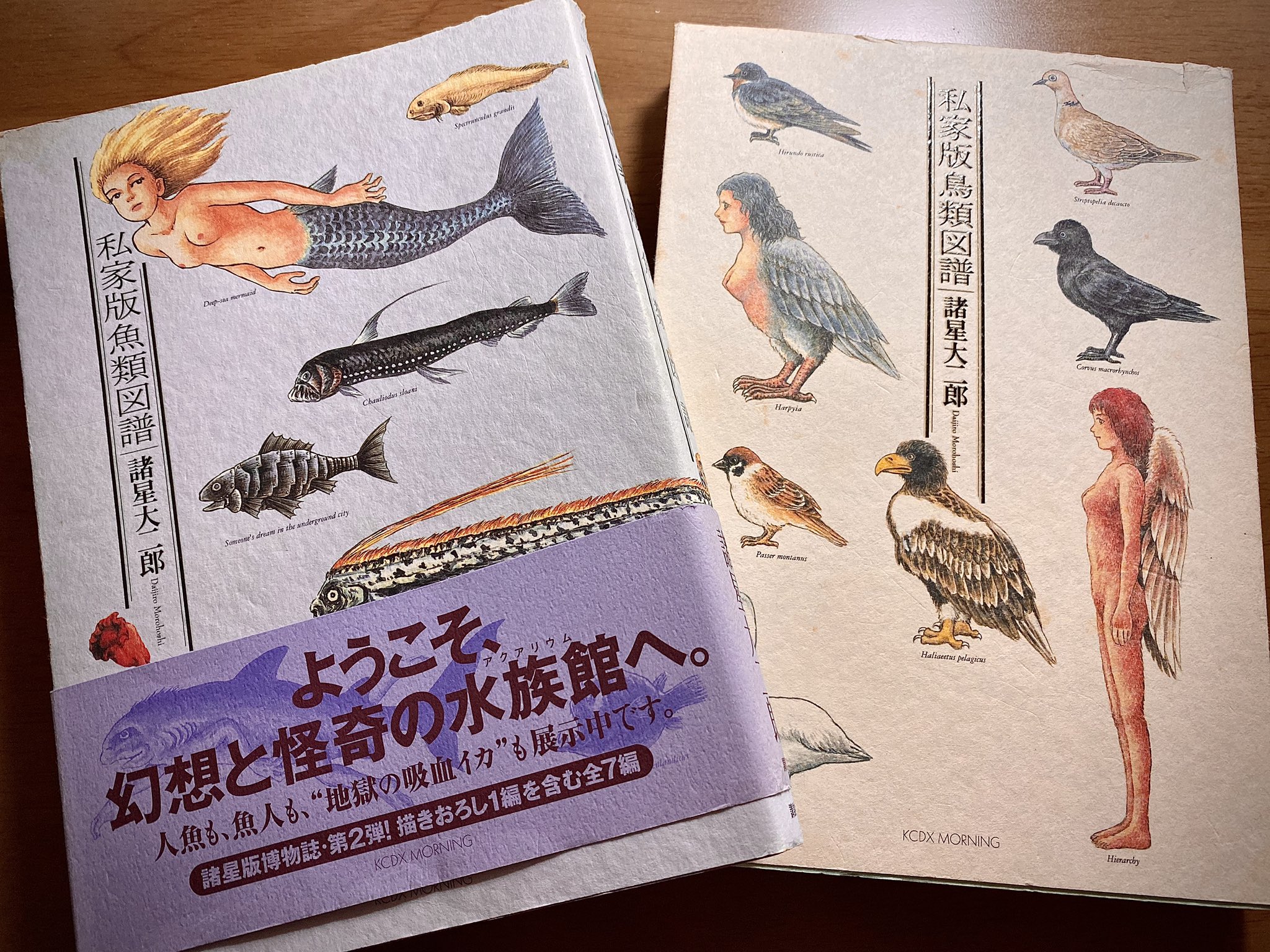 越谷公方 軍曹亭 武士ライフ 諸星大二郎氏の 私家版魚類図譜 と 私家版鳥類図譜 が出てきたんでパラパラと この2冊に収録の 深海人魚姫 と 塔に飛ぶ鳥 は2作とも優れたラブストーリーだと私は思っている 諸星大二郎 越谷公方 軍曹亭 武士ライフ 諸星大二郎氏の 私家版魚類図譜 と 私家版鳥類図譜 が出てきたんでパラパラと この2冊に収録の 深海人魚姫 と 塔に飛ぶ鳥 は2作とも優れたラブストーリーだと私は思っている 諸星大二郎