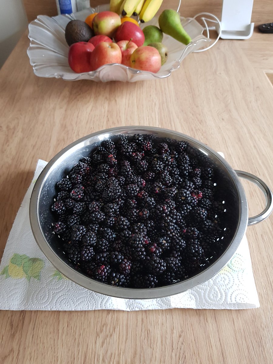 Me and @LucyyCarr have been out picking blackberries ready for her to make Jam mmmmmm 😀